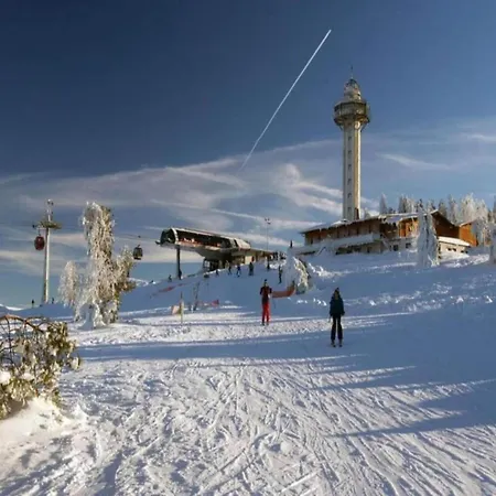 In Der Naehe Des Skigebietes In Diemelsee, Cleaning Included Apartmán Heringhausen