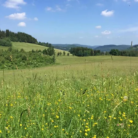 In Der Naehe Des Skigebietes In Diemelsee, Cleaning Included Heringhausen